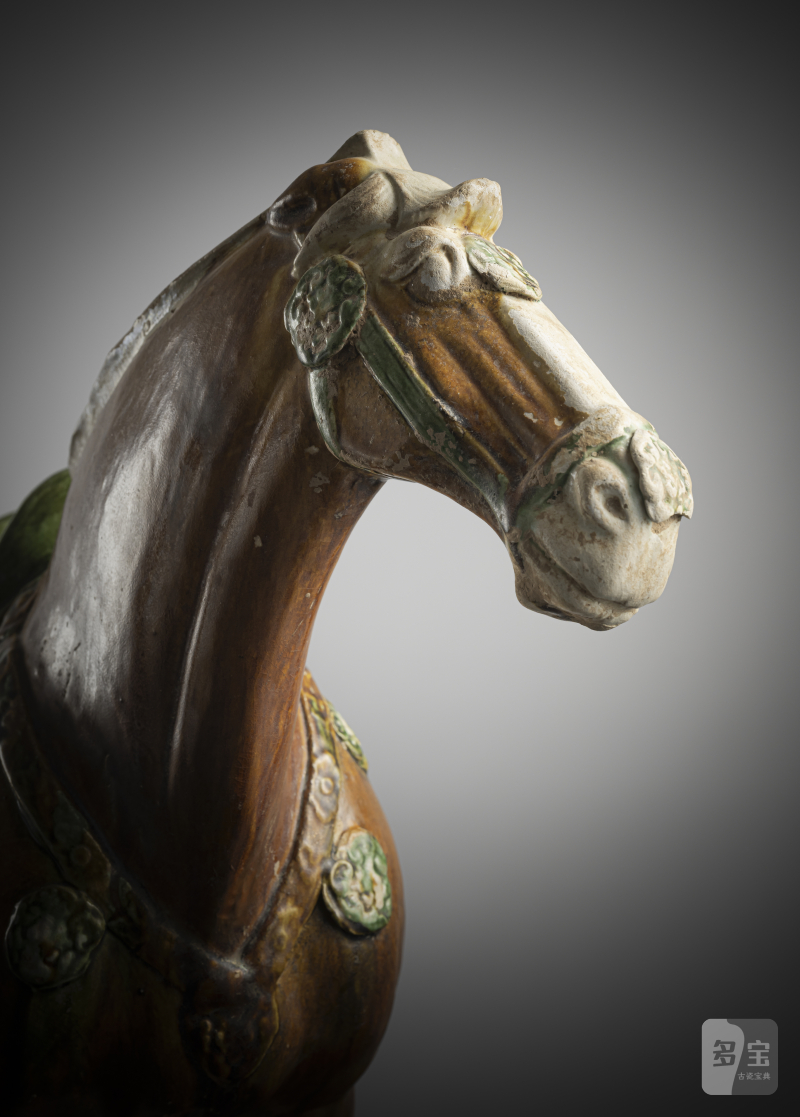 A fine 'sancai' -glazed earthenware horse - 图3